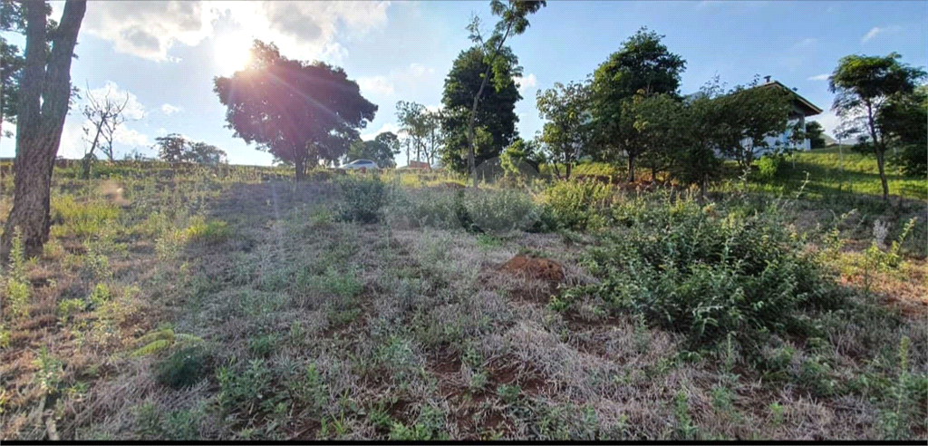 Terreno à venda, 1000m² - Foto 4