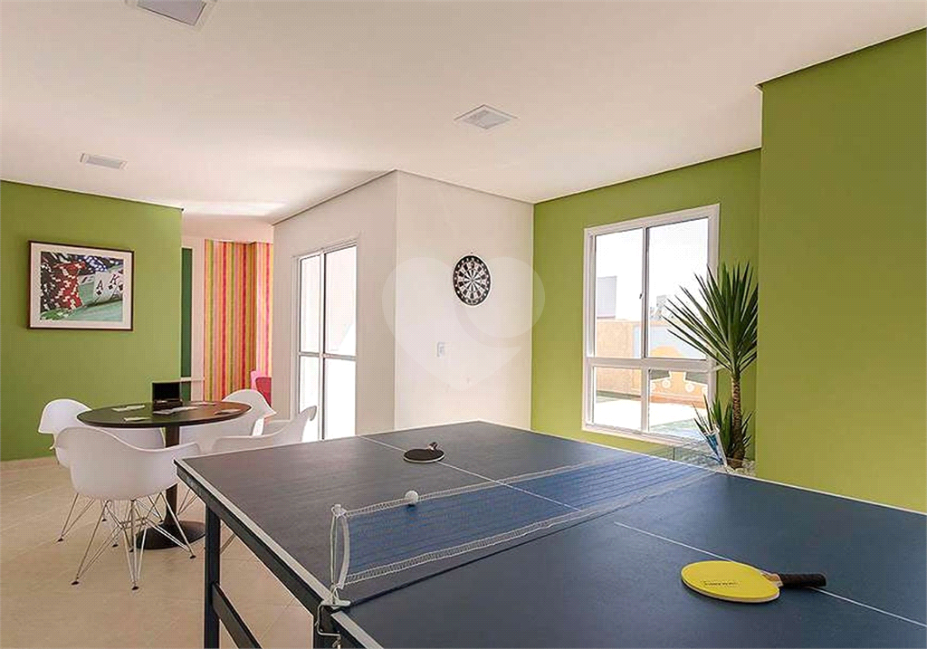 Apartamento 3 dormitórios