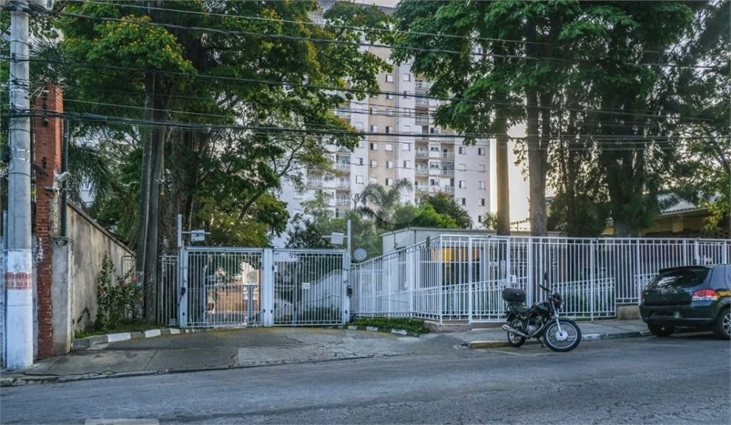 Apartamento 3 dormitórios