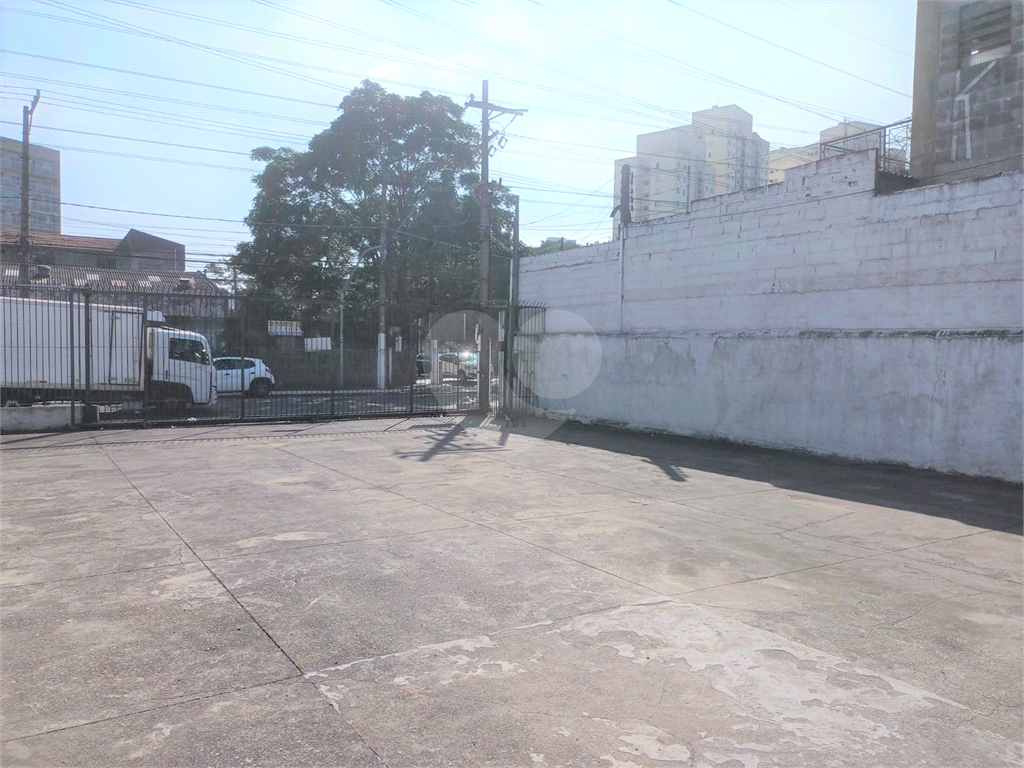 GALPÃO em LIMÃO