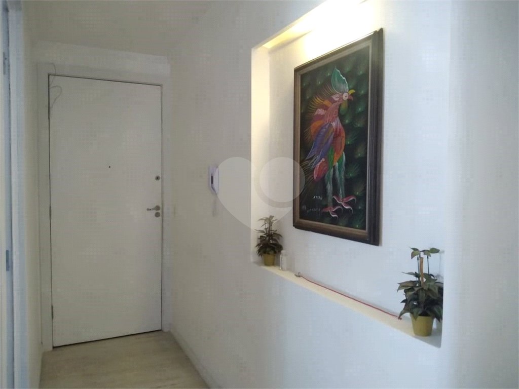Apartamento 3 dormitórios vila Andrade 