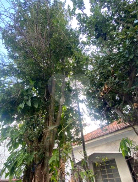 PRÉDIO INTEIRO em VILA GUILHERME