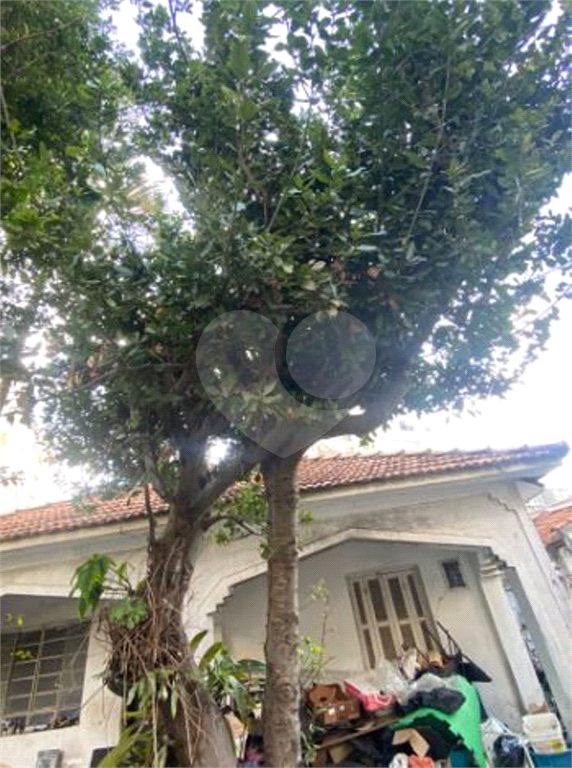 PRÉDIO INTEIRO em VILA GUILHERME