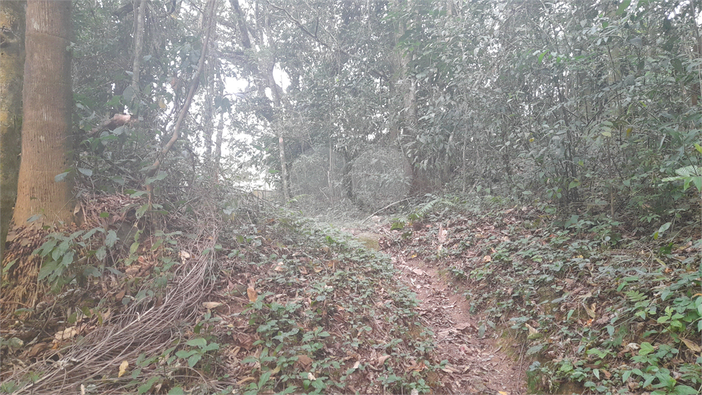 Terreno Rural - Parque Petrópolis