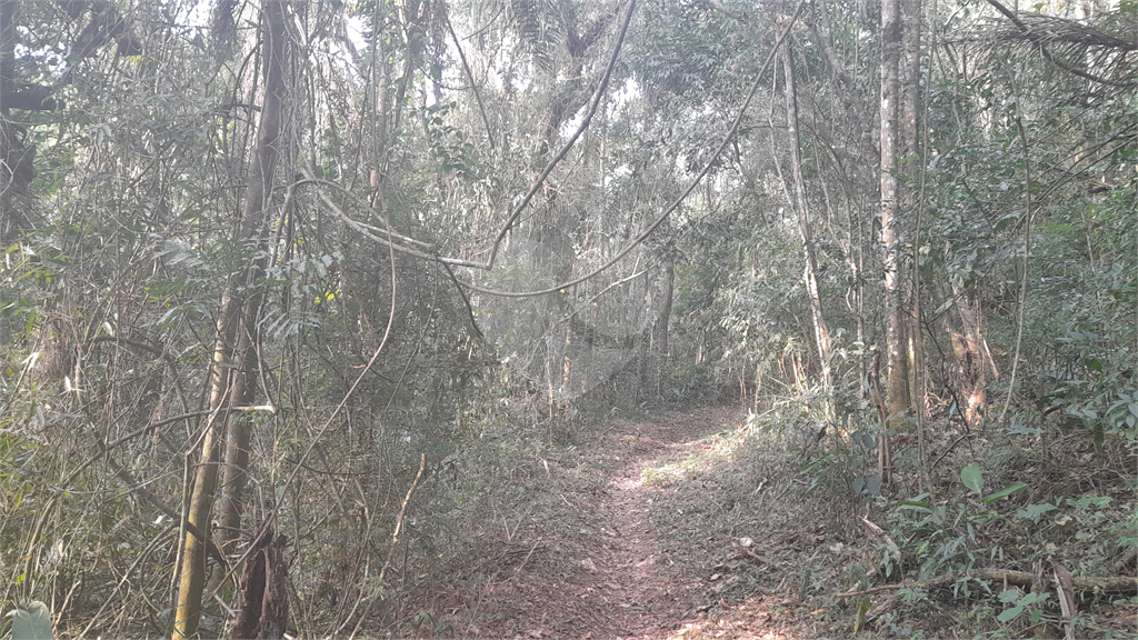 Terreno Rural - Parque Petrópolis