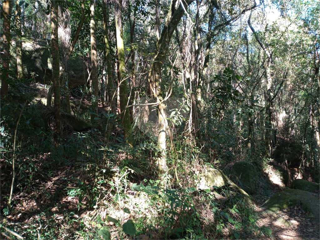 Terreno Rural - Parque Petrópolis