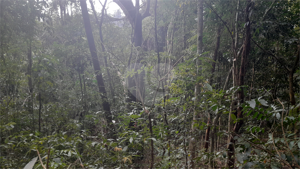 Terreno Rural - Parque Petrópolis