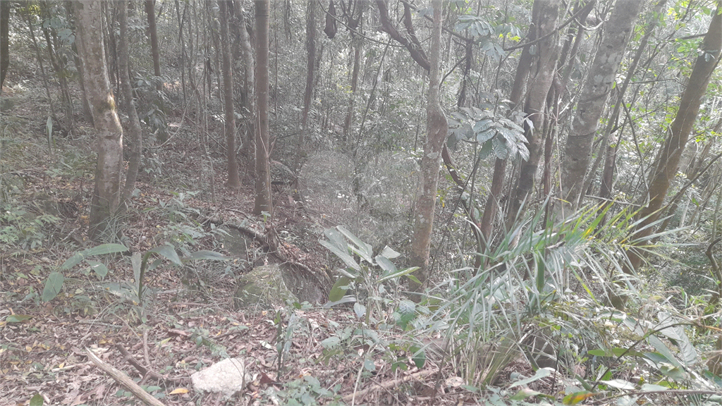 Terreno Rural - Parque Petrópolis