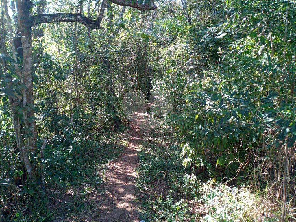 Terreno Rural - Parque Petrópolis