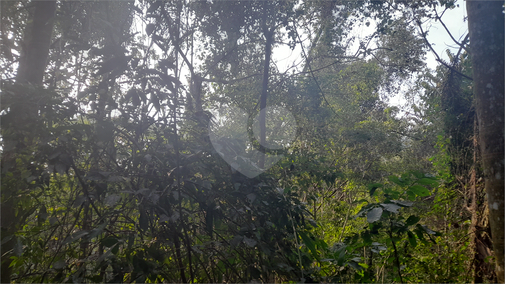 Terreno Rural - Parque Petrópolis