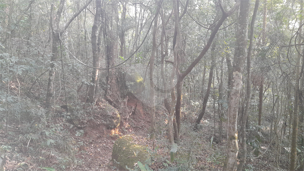 Terreno Rural - Parque Petrópolis