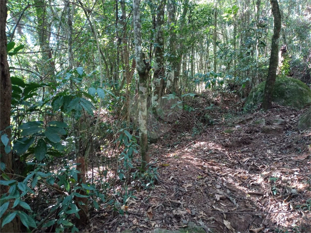 Terreno Rural - Parque Petrópolis