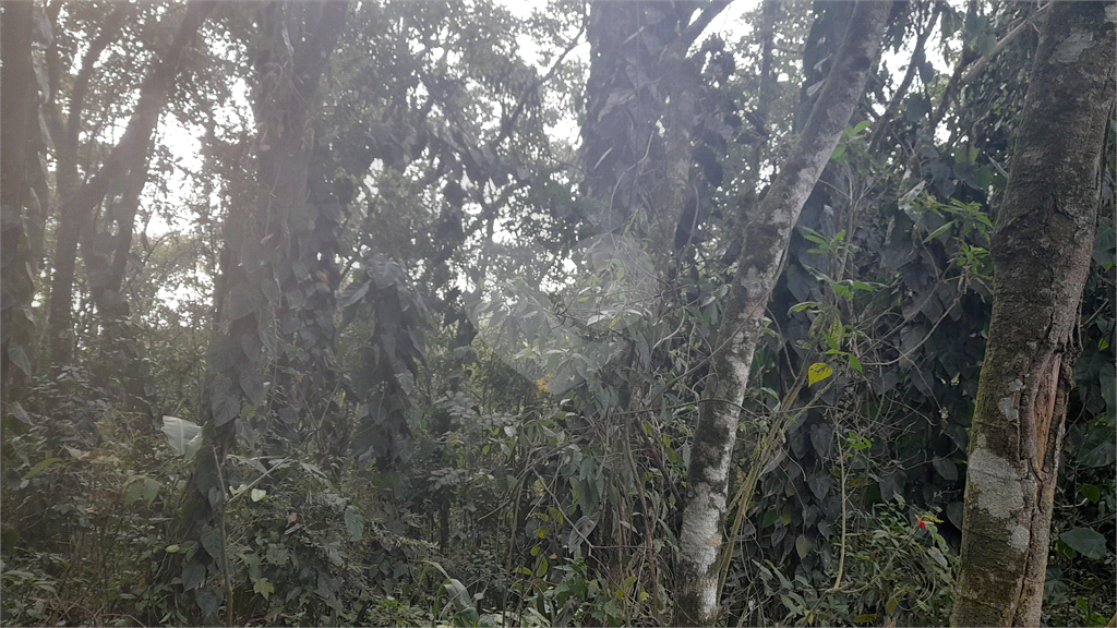 Terreno Rural - Parque Petrópolis