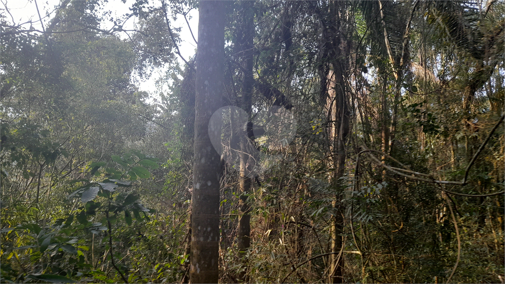 Terreno Rural - Parque Petrópolis