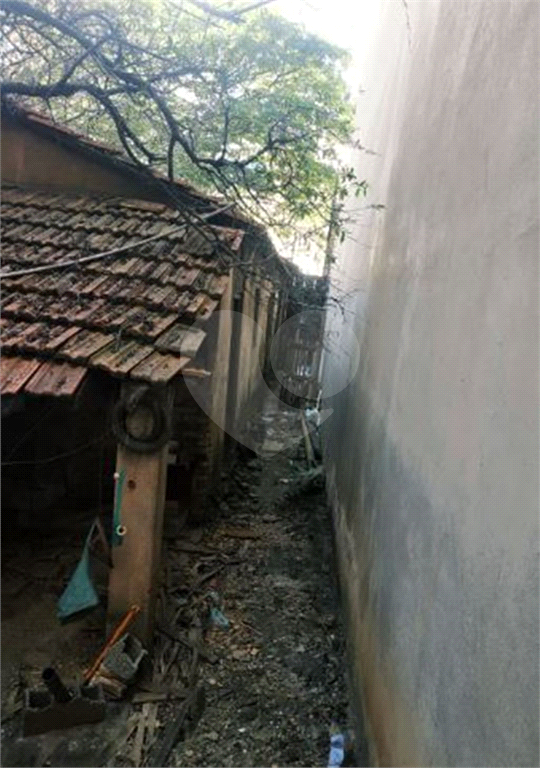 TERRENO em VILA MATILDE