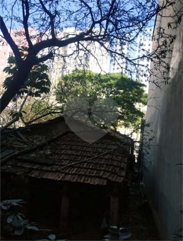 TERRENO em VILA MATILDE
