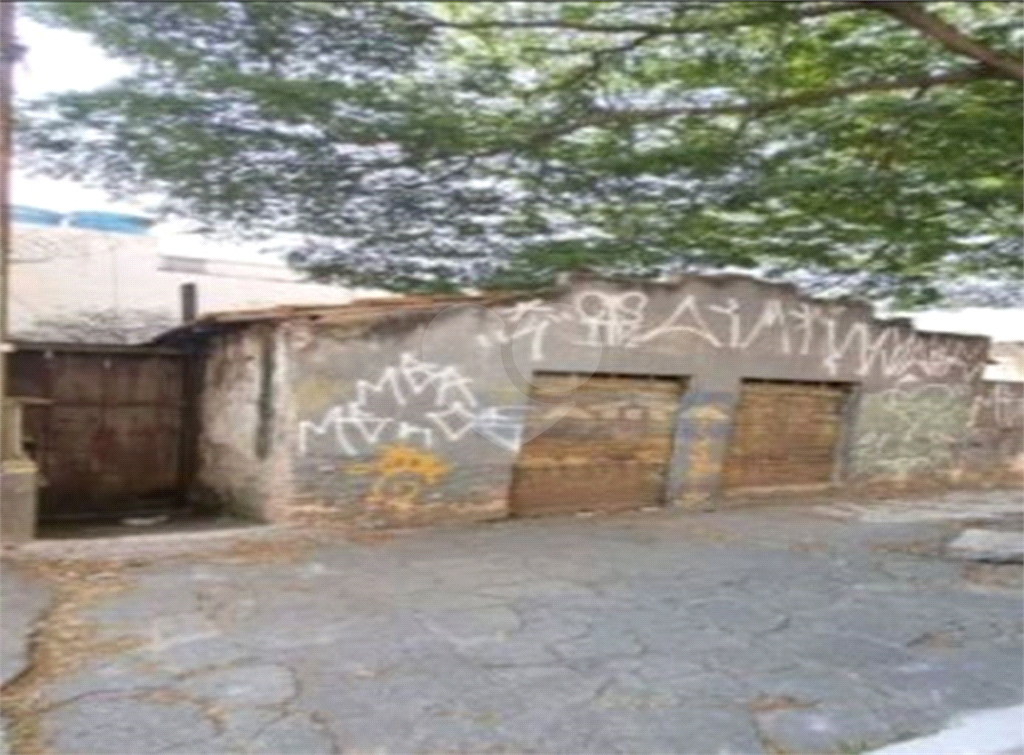 TERRENO em VILA MATILDE