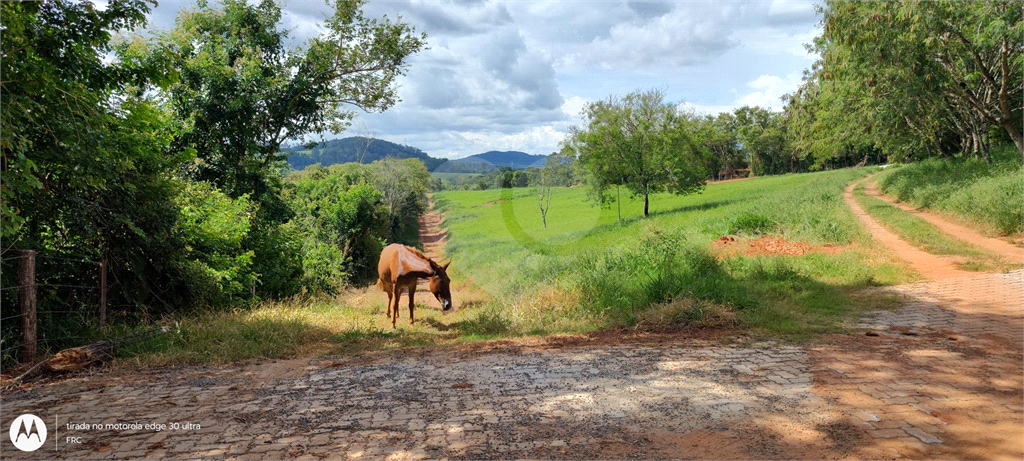 Terreno à venda, 22000m² - Foto 16