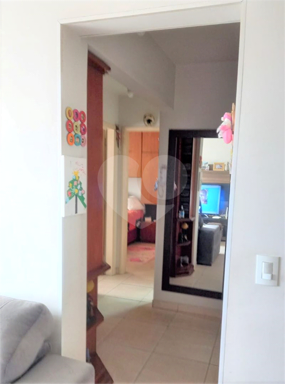 APARTAMENTO EM SACOMÃ