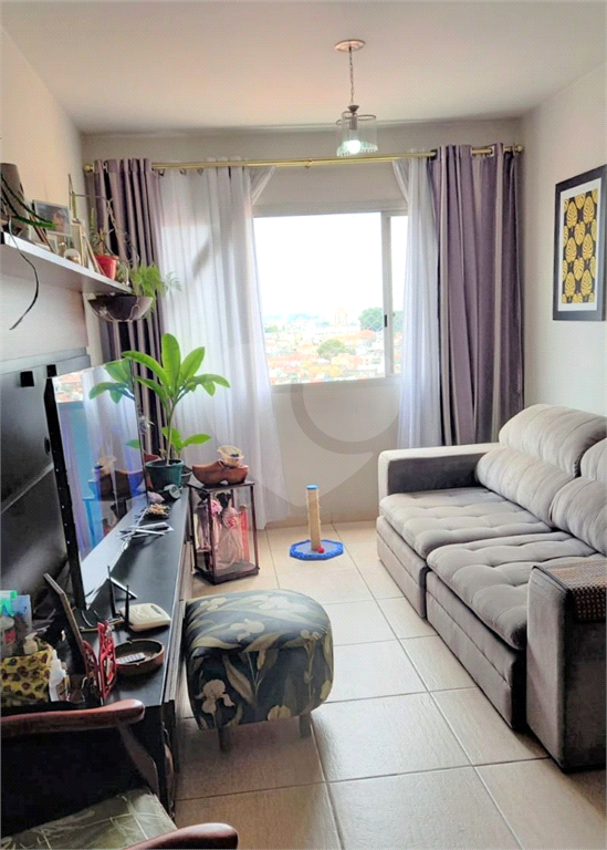 APARTAMENTO EM SACOMÃ