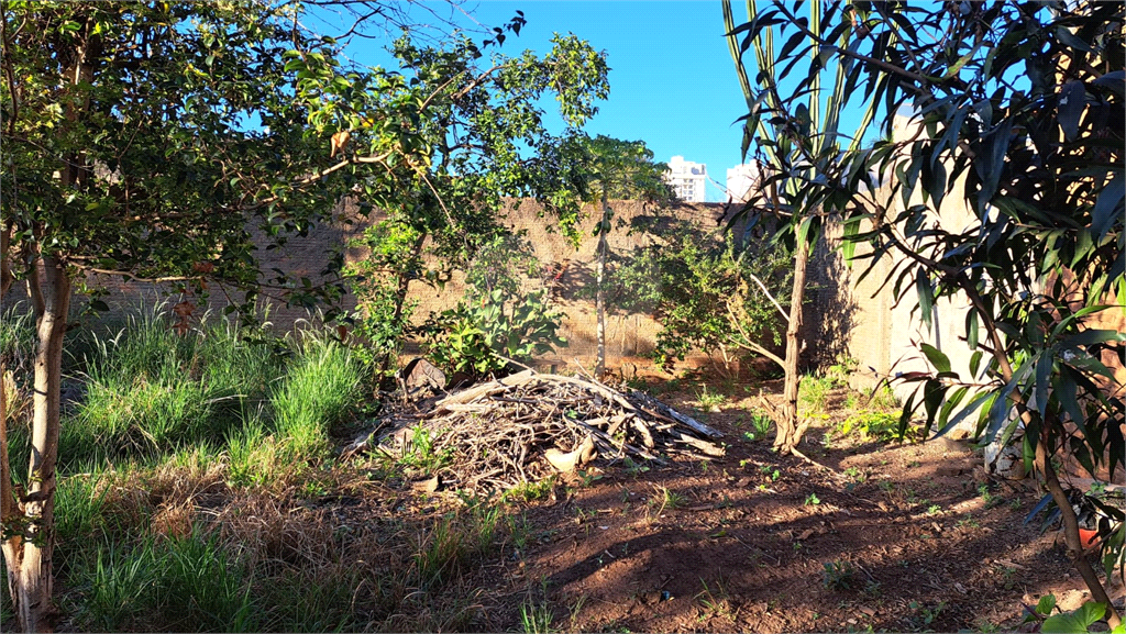 Terreno Centro São Carlos 