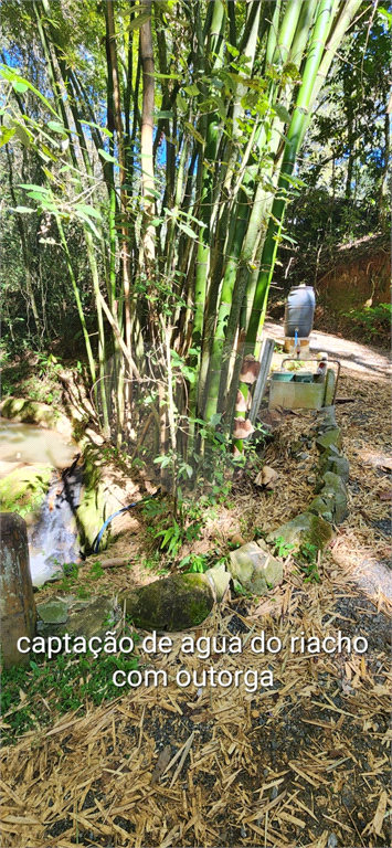 Fazenda à venda com 3 quartos, 270m² - Foto 6