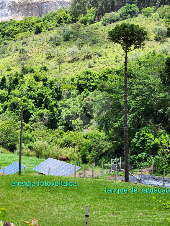 Fazenda à venda com 3 quartos, 270m² - Foto 59