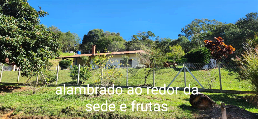 Fazenda à venda com 3 quartos, 270m² - Foto 3