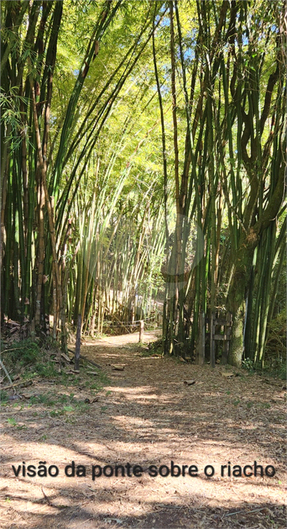 Fazenda à venda com 3 quartos, 270m² - Foto 7