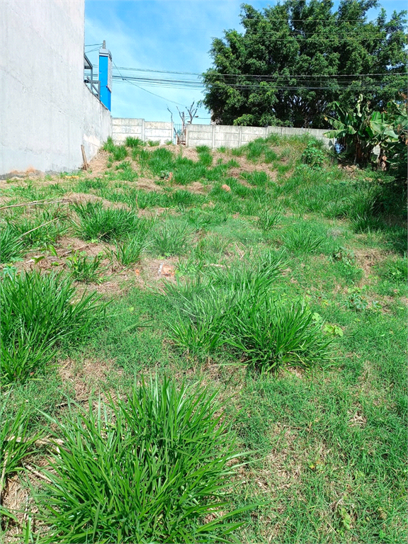 Terreno à venda, 250m² - Foto 3