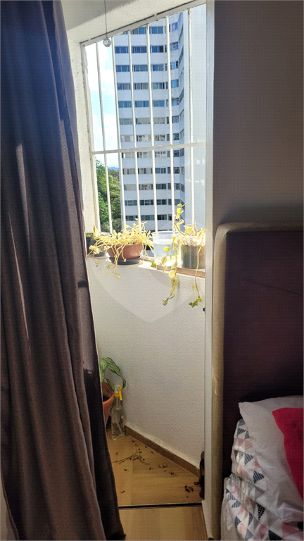 APARTAMENTO em BUTANTÃ
