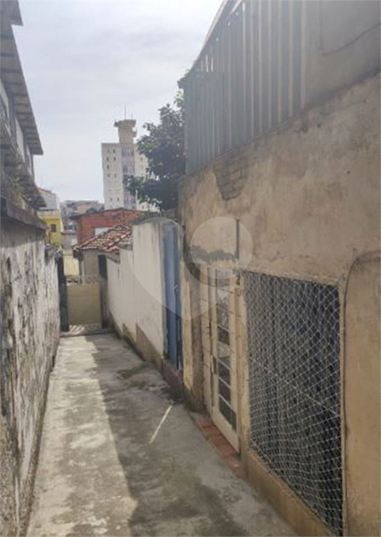 TERRENO em TUCURUVI