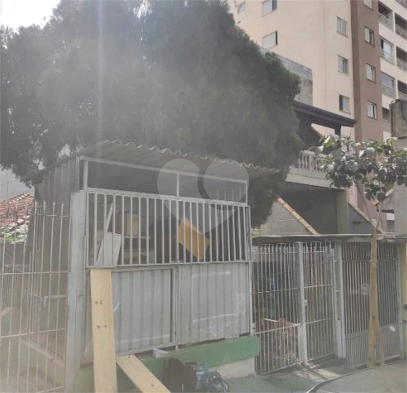 TERRENO em TUCURUVI