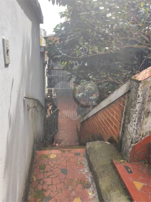 TERRENO em TUCURUVI