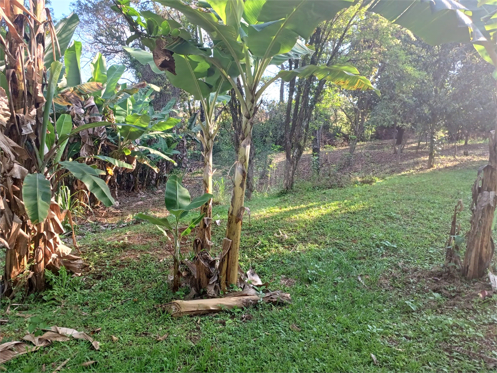 Chácara à venda com 2 quartos, 623m² - Foto 45