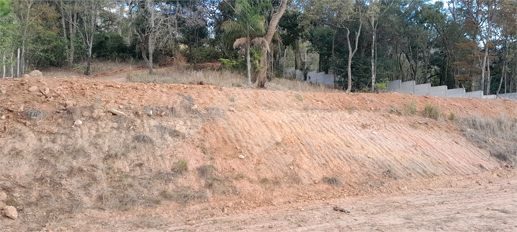 Terreno à venda, 2500m² - Foto 3