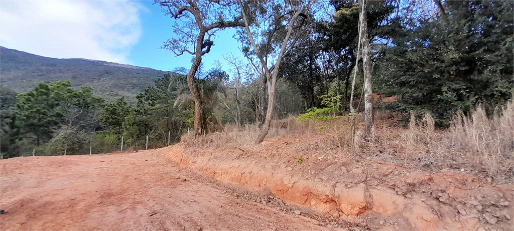 Terreno à venda, 2500m² - Foto 8