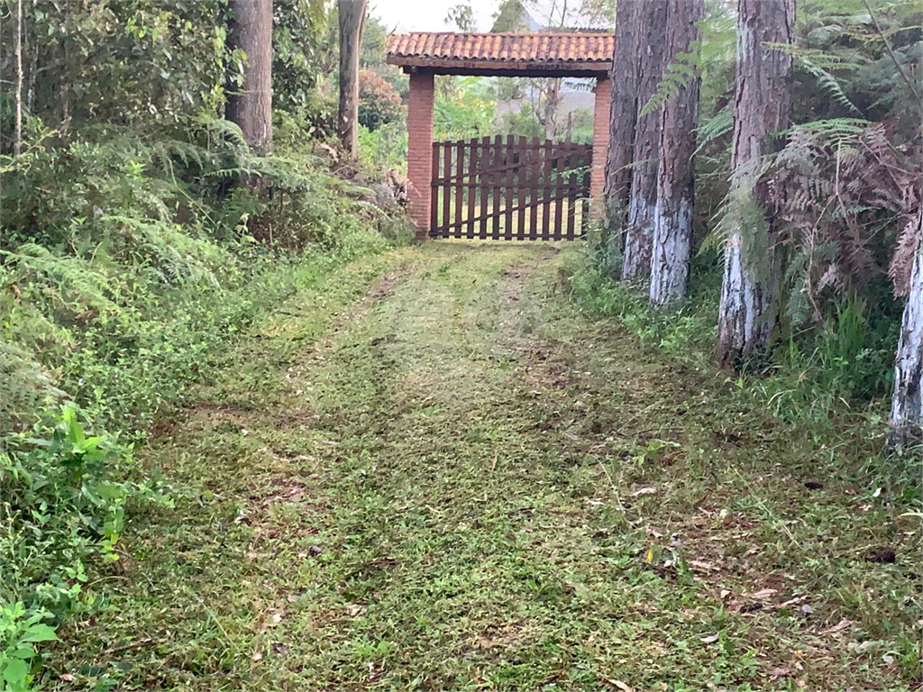 Fazenda - São Lourenço - 6 dormitórios - 1 suíte - 3 banheiros - 10 vagas - 2 salas 