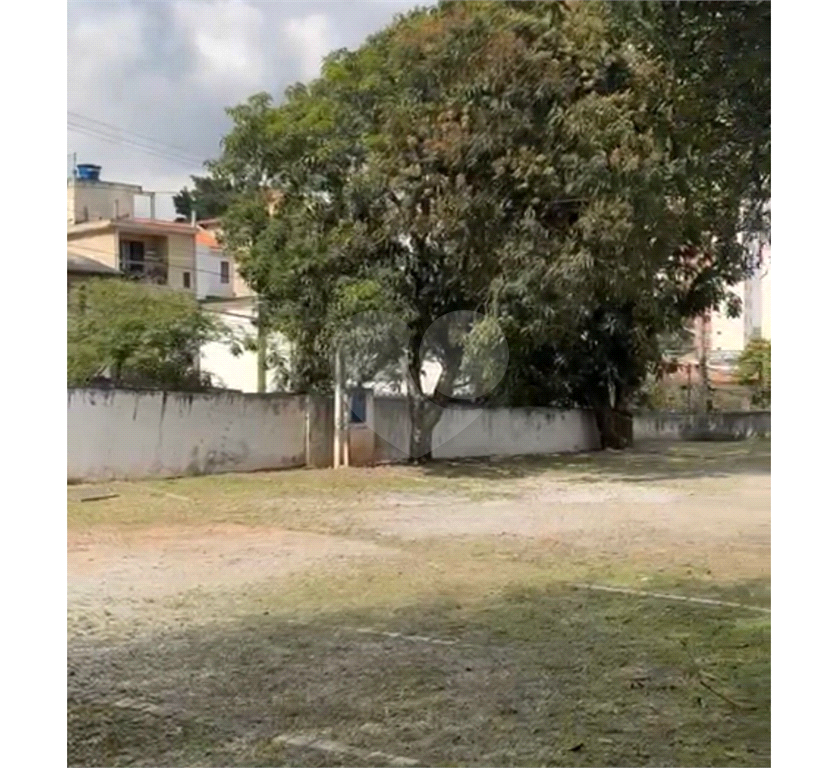 TERRENO em BUTANTÃ