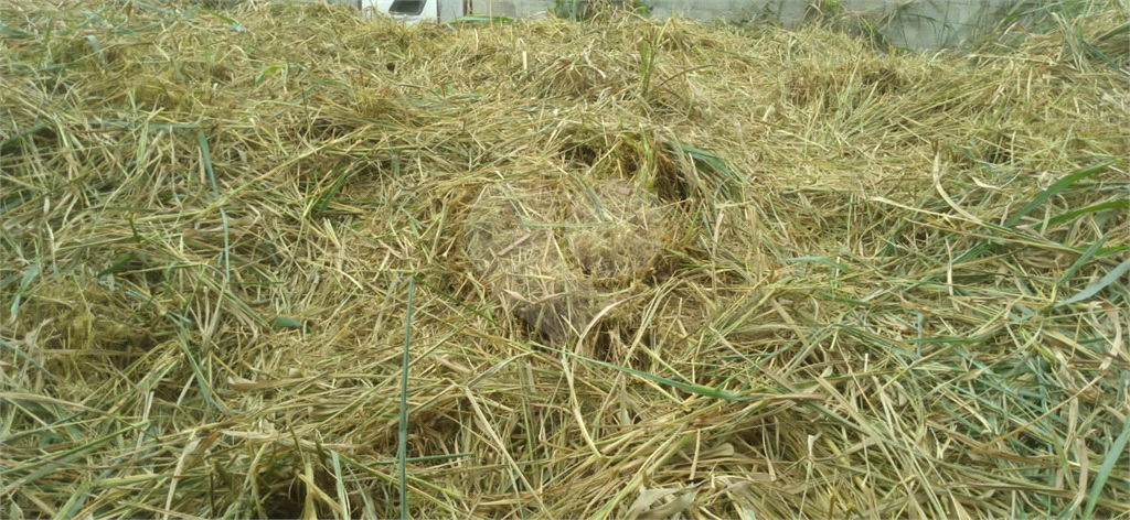 Terreno, 280 m² - Foto 9