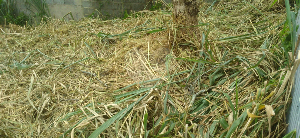 Terreno, 280 m² - Foto 4