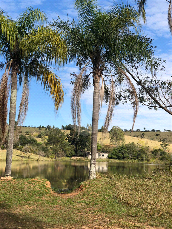 Fazenda à venda, 210000m² - Foto 12