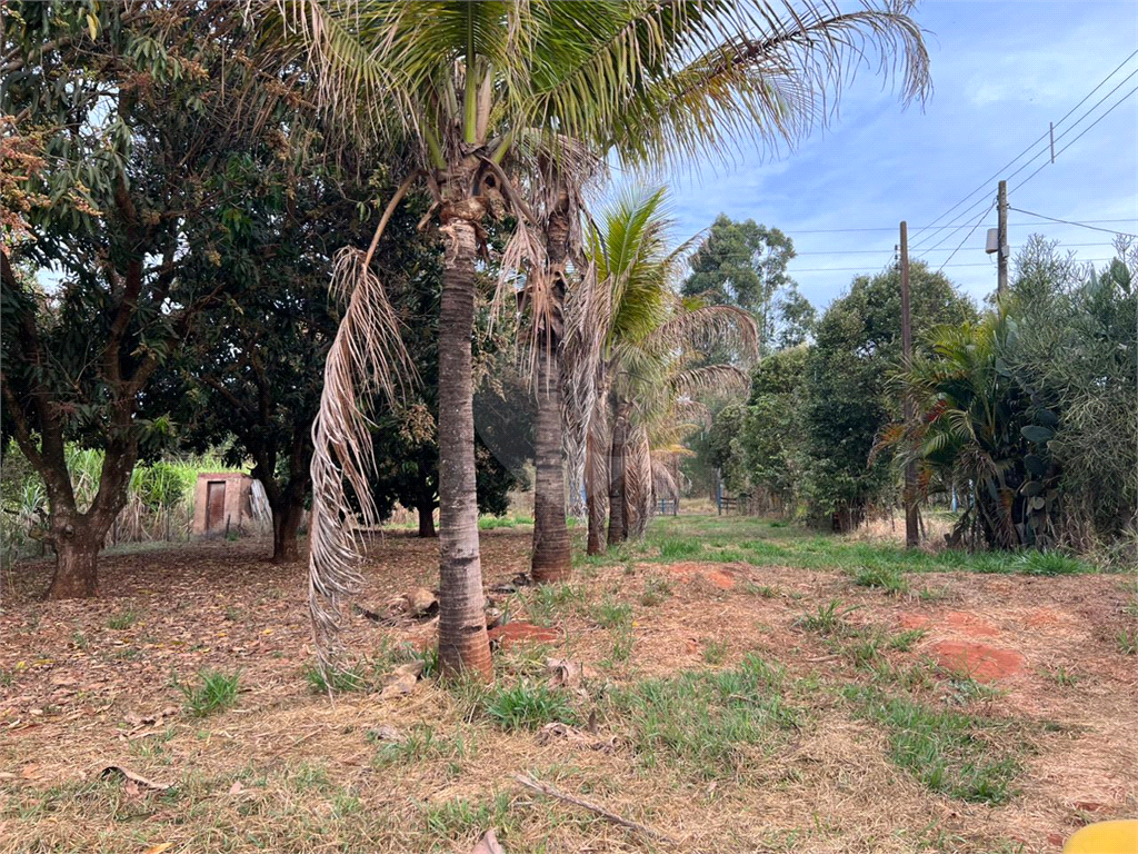 Fazenda à venda com 3 quartos, 350m² - Foto 24