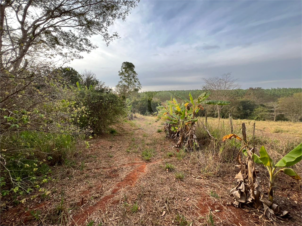 Fazenda à venda com 3 quartos, 350m² - Foto 29