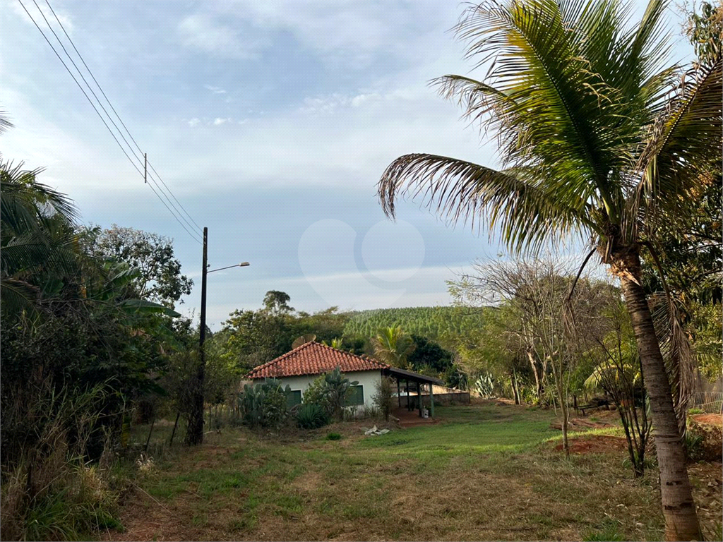 Fazenda à venda com 3 quartos, 350m² - Foto 34