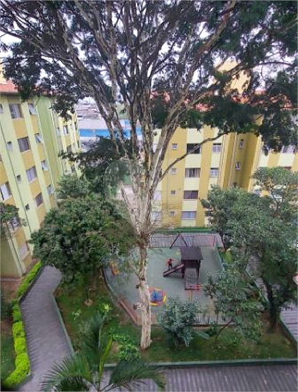 APARTAMENTO em VILA NOVA CACHOEIRINHA