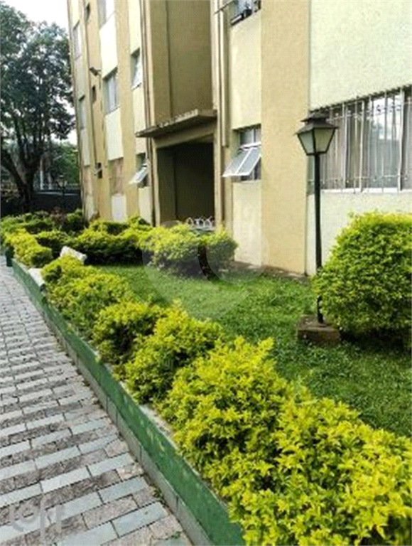 APARTAMENTO em VILA NOVA CACHOEIRINHA