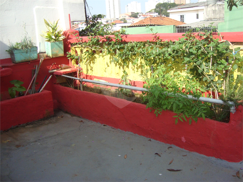 Casa Terrea