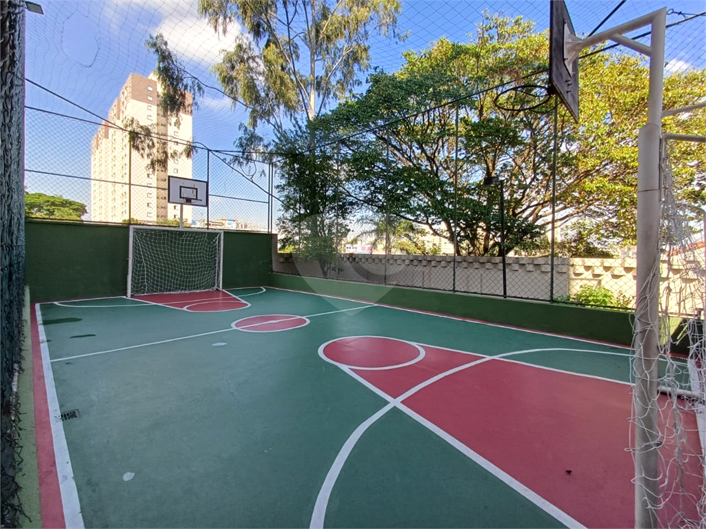 Apartamento na Vila Amália, Zona Norte com 3 dormitórios