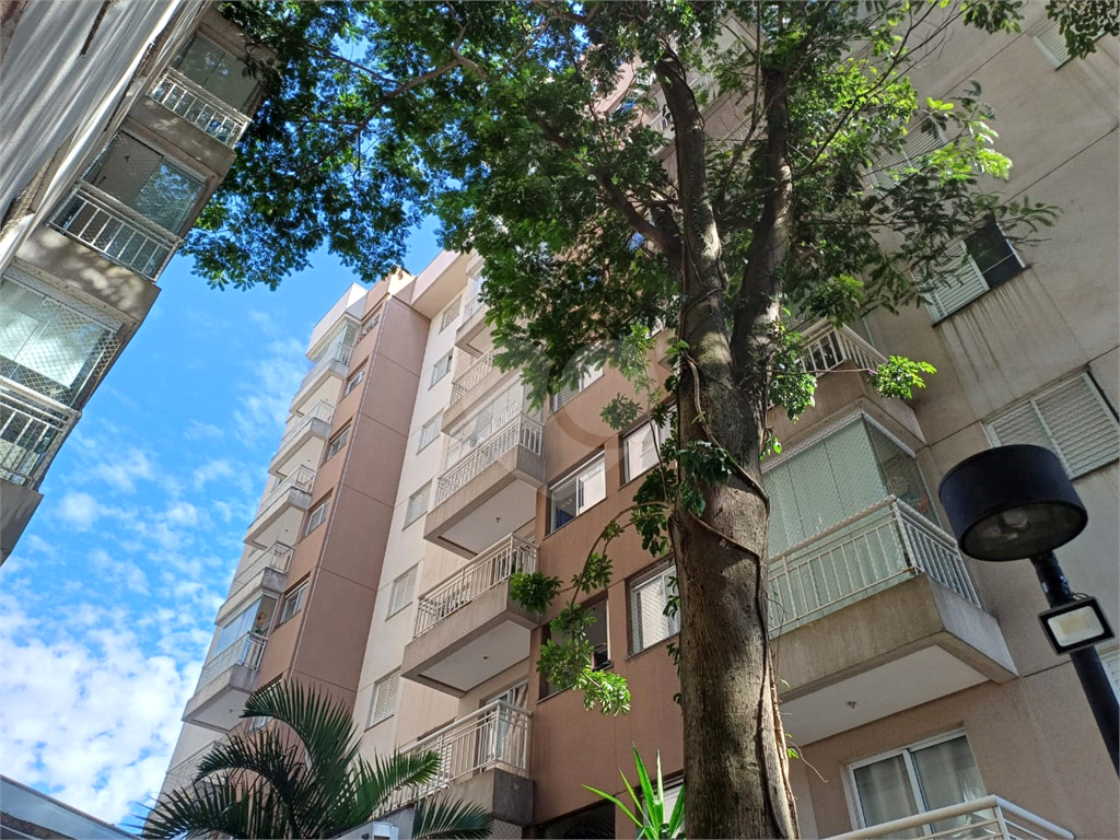 Apartamento na Vila Amália, Zona Norte com 3 dormitórios